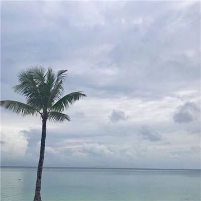 奥特超人打怪兽2破解版下载
